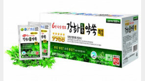 [스마트 컨슈머]6년 묵힌 강화약쑥, 면역력 키워