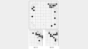 [바둑]역대 국수전 우승 결정국… 나비효과