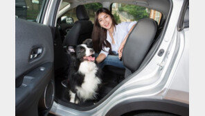 당신의 반려견 車만 타면 ‘악마’로 돌진…‘뜯고 토하고 발작’ 해결책은?