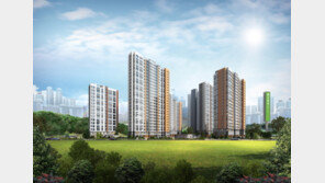 11.3 부동산 대책 재건축 아파트 재조명… ‘용인역북 신원아침도시’ 분양