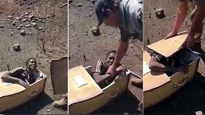 울부짖어도 강제로 관속에… ‘인종차별’을 고발하다