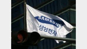 삼성전자, 전장기업 하만 인수 승부수에 시장 반색…주가 ‘쑥쑥’