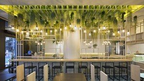 [Food&Dining3.0]이태원에서 新개념 돈가스 문화를 즐겨라!