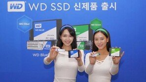 "이제 WD를 SSD 제조사로 불러주세요"