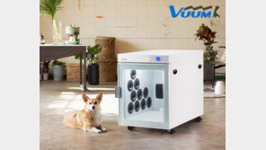 댁의 강아지는 아직도 목욕 후 덜덜 떠나요