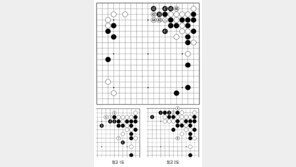 [바둑]역대 국수전 우승 결정국… 인간적 실수