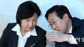 국정혼란 와중에… 민주 ‘추미애 여진’