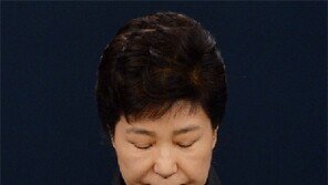 더민주 “ ‘시크릿가든’ 청와대와  ‘길라임’ 대통령… 이런 막장이 없다”