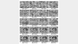 뱀만 보면 ‘깜짝’ 놀라고 무서워하는 이유가…조상 탓?