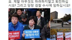 더민주 남인순 “朴대통령 엘시티 엄중 수사 지시…아무것도 하지 말고 퇴진하라”