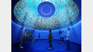 대구 신세계, 백화점이야? 테마파크야?