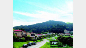 [화제의 분양현장]평택 파인힐타운