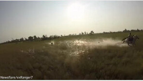 [영상]아프리카 평원서 말 타다 떨어진 남성, 뒤 쫓아오던 사자와 딱…‘오싹’