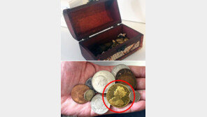 4세 아들 장난감 상자에서 굴러다니던 동전, ‘4억 짜리 보물’ 판명