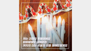 이외수 “촛불은 바람 불면 꺼진다? 파라핀 촛불 들고 시위 안해…건전지 촛불 쓴다”