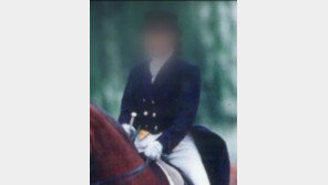 최순실 조카 장시호 체포…안민석 “수십억 현금 인출·토지 처분, 해외도피 준비한 듯”