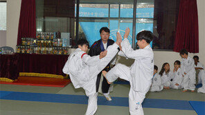 송암배 택견 한마당