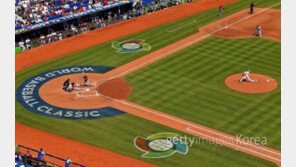 WBC 네덜란드·이스라엘·대만, 해외파 누가 있나