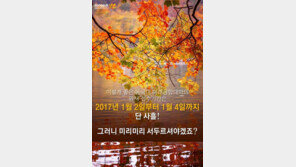 [카드뉴스] 공부가 고픈 당신 동국대 미래융합대학으로 오세요