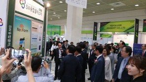 [공감 감동경영]지역별 SW융합클러스터 ‘지역경제 효자’