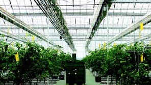 [공감 감동경영]“똑똑한 스마트 팜을 추천합니다”