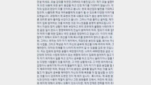 ‘자라 코리아’ 이봉진 사장 “촛불집회 참여 비하 아냐”해명에도 ‘불매운동’ 조짐