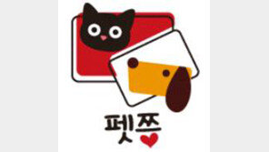 반려동물 스마트 인식표 ‘펫쯩’ 입소문