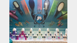 반려동물 미용품 ‘애슐리 크레이그’ 인기