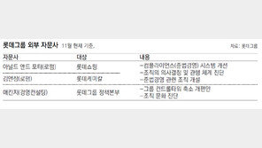 [단독]롯데, 韓美 대표 로펌에 조직진단 맡겨… 檢 수사 등 악재 속 준법경영 쇄신 나서