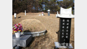 최태민 묘지 2000m²… 대통령 묘역의 7.5배