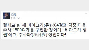 청와대 비아그라 구입? 조국 “비아그라·주사파(注射派) 정권!” 비난, 표창원도…