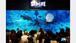 전시관에 기술을 더하다, SEA LIFE 부산아쿠아리움
