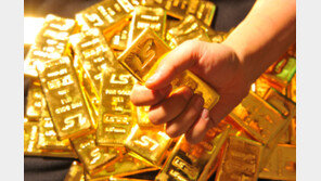 상속 받은 집서 44억 상당 금괴·금화 ‘우르르’…“이런 횡재가”