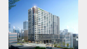 11.3 대책 빗겨간 강남 오피스텔 ‘인기’