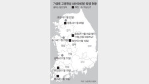 무섭게 번지는 AI… 최대 닭 산지 포천서도 의심신고