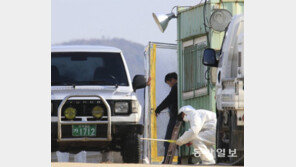 AI 방역 골든타임 놓치고… 뒷북 대응