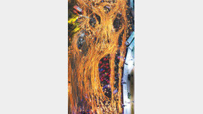 [Feeling]2016년 11월 촛불, 들불이 되다