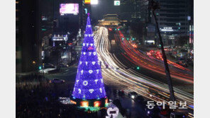 서울광장 ‘성탄 트리’ 불 밝혀