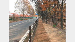 인천시 연희공원 둘레길 개방