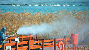“AI확산 막아라” 축산농가-방역당국 초비상