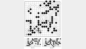 [바둑]역대 국수전 우승 결정국… 찬물을 끼얹다