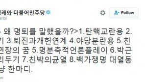 정청래 “친박 朴대통령에 명예퇴진 건의, ‘탄핵교란용’” 혹평