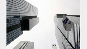 삼성전자 “지주회사 전환 검토…잉여 현금 50% 주주에 배당”