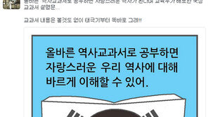국정 역사교과서 홍보 만화에 태극기 오류…“역사 바꾸면서 태극기까지 바꿨나”