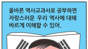 국정 역사교과서 홍보물 태극기 오류…“태극기 못 그리는 교육부, 혼이 비정상” 