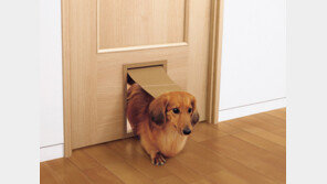 펫도어·마루코팅은 기본…반려견 맞춤 주택이 대세