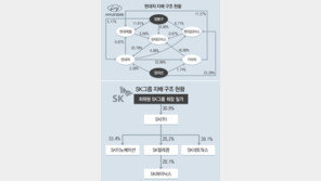 “자사주 의결권 막히기 전에… ” 기업들 지주사 전환 가속