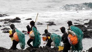 ‘제주해녀문화’ 유네스코 인류무형문화유산 등재 초읽기