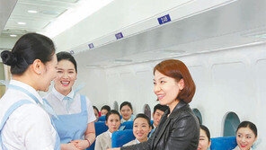 지식·문화·보건·복지 분야… 취업률 100% 솔루션 제공