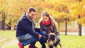 펫팸족들이 반려동물과 여행 포기하는 이유는?